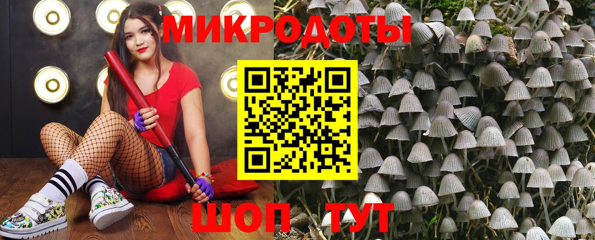 Галлюциногенные грибы Psilocybine cubensis Соль-Илецк