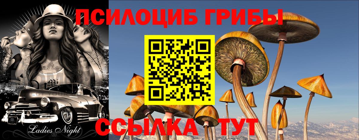 Галлюциногенные грибы Magic Shrooms  Галлюциногенные грибы Psilocybe  Соль-Илецк  Вход с VPN 